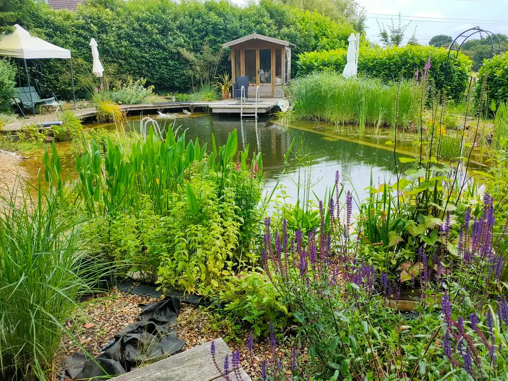 Natural swimming pond with wooden cabin and garden