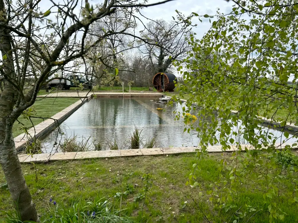 Natural swimming pond in landscaped garden with trees
