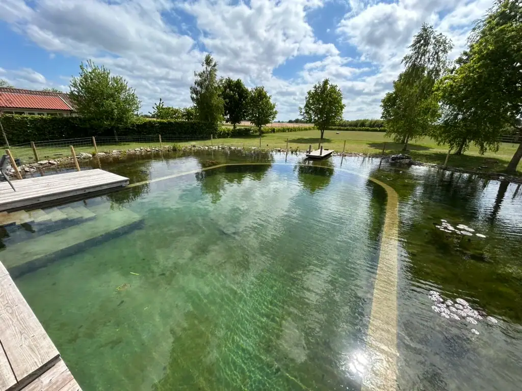 Natural swimming pond with wooden deck and trees