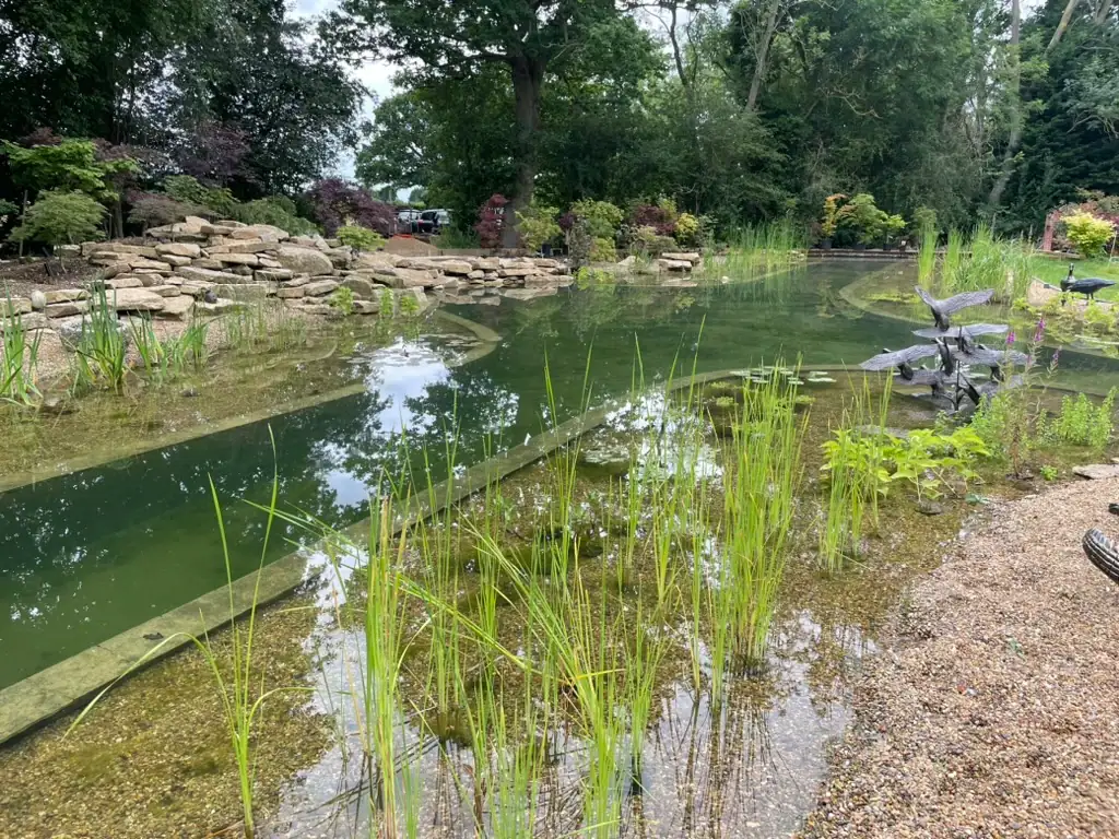 Landscaped garden pond with stone edging and plants