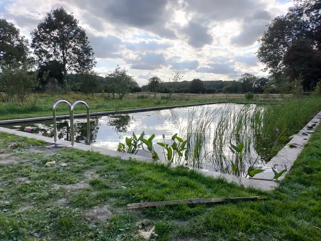 Natural swimming pond with reeds and countryside views